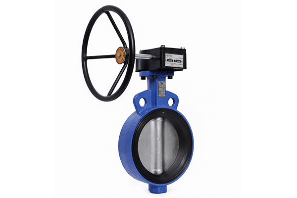 Gear operated butterfly valve Supplier in Ahmedabad
